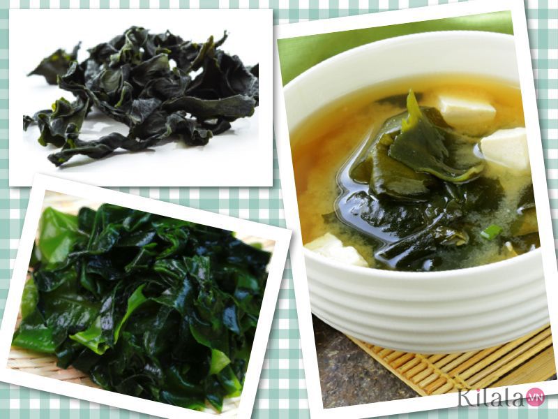 rong biển wakame rong biển wakame